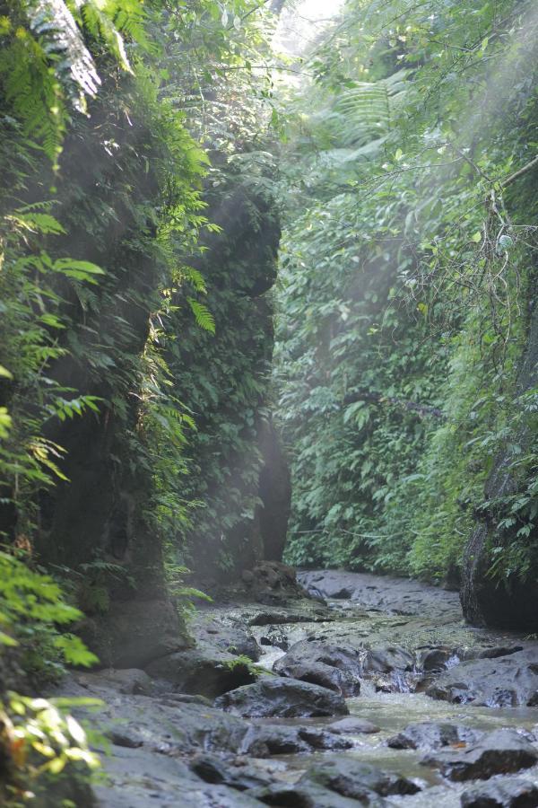 فندق بيانغانفي  Pramana Giri Kusuma المظهر الخارجي الصورة